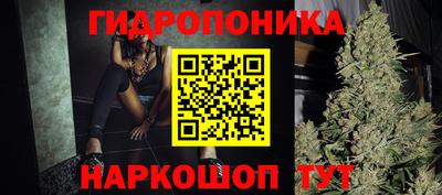 дмт Будённовск
