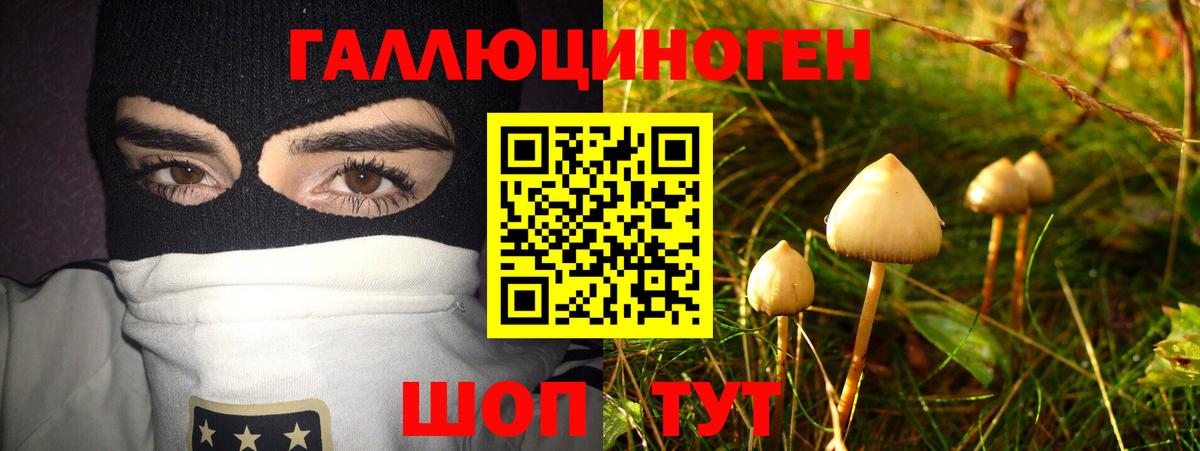 Галлюциногенные грибы ЛСД  Галлюциногенные грибы Psilocybe  Мелеуз  Вход с VPN 