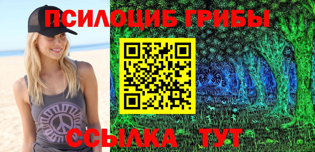 Галлюциногенные грибы Psilocybe Мелеуз